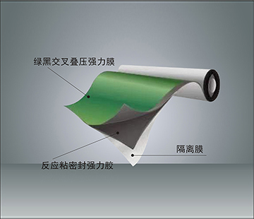 反應(yīng)粘結(jié)型高分子濕鋪防水卷材