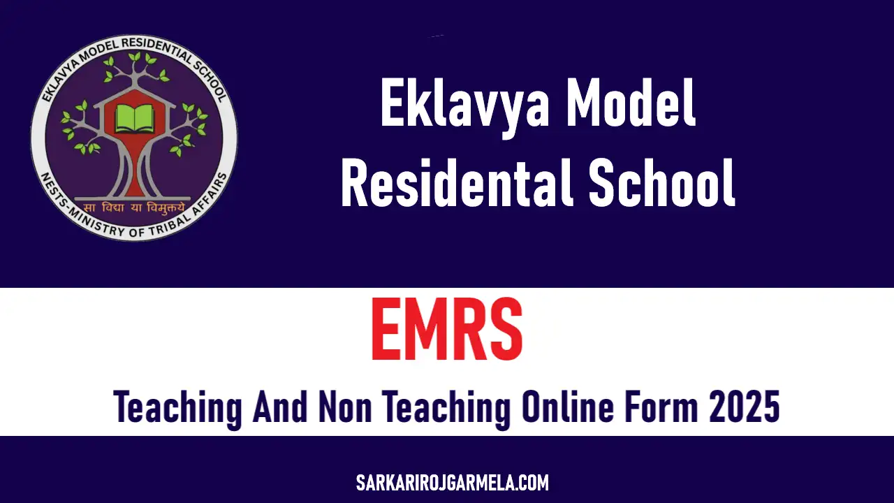 EMRS Teaching And Non Teaching Online Form 2025